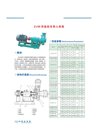 ZJW Flotation Machine Feed Pumps